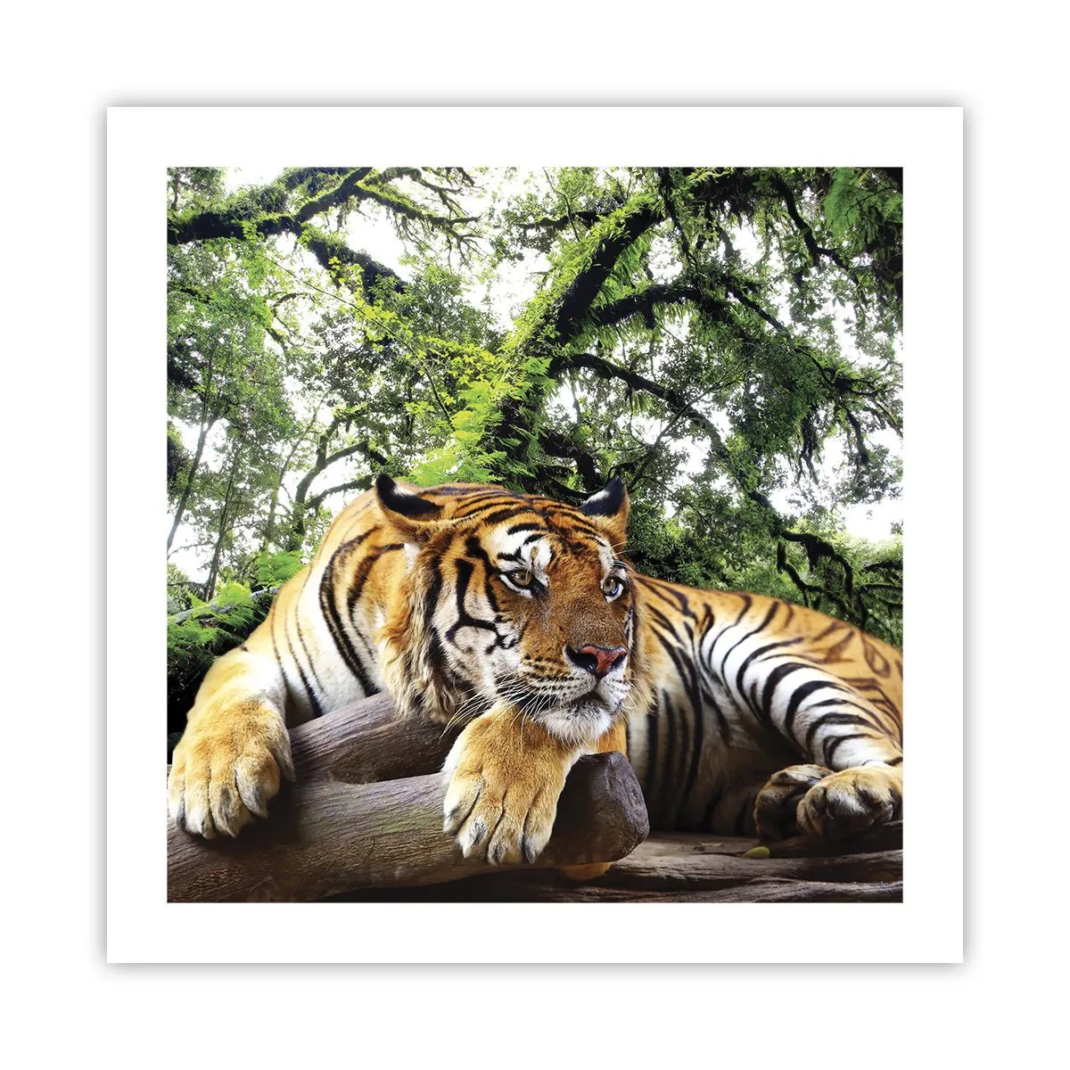 Poster - Cu respect - 50x50 cm