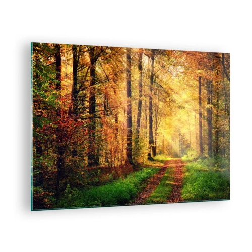 Tablou pe sticlă - Cale de toamnă în pădure cu raze de soare - 70x50cm - Tăcere de aur de pădure - Decorațiune modernă pentru perete pentru living și dormitor ARTTOR