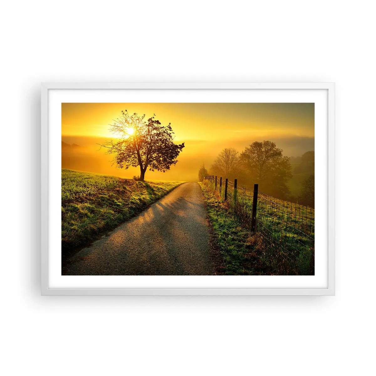 Poster în ramă albă - O după-amiază de miel - 70x50 cm