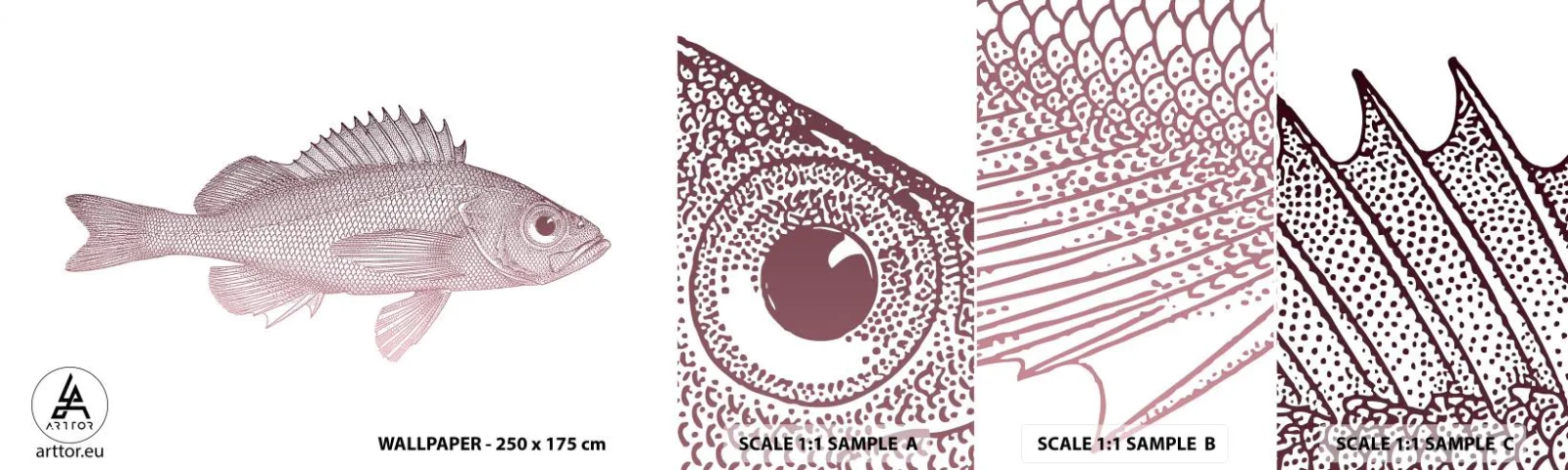 Mostră de Tapet Standard Eco - Pește cu ochi mari - Peşte, Sub apă, Minimalist - 100x30 cm