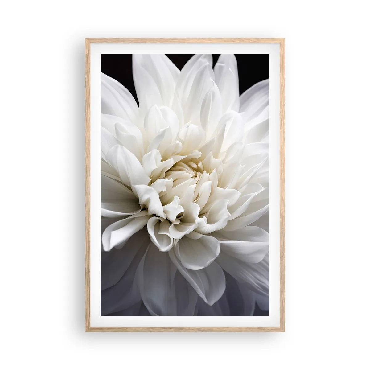 Poster în ramă de stejar deschis - Dimineața miresei - 61x91 cm