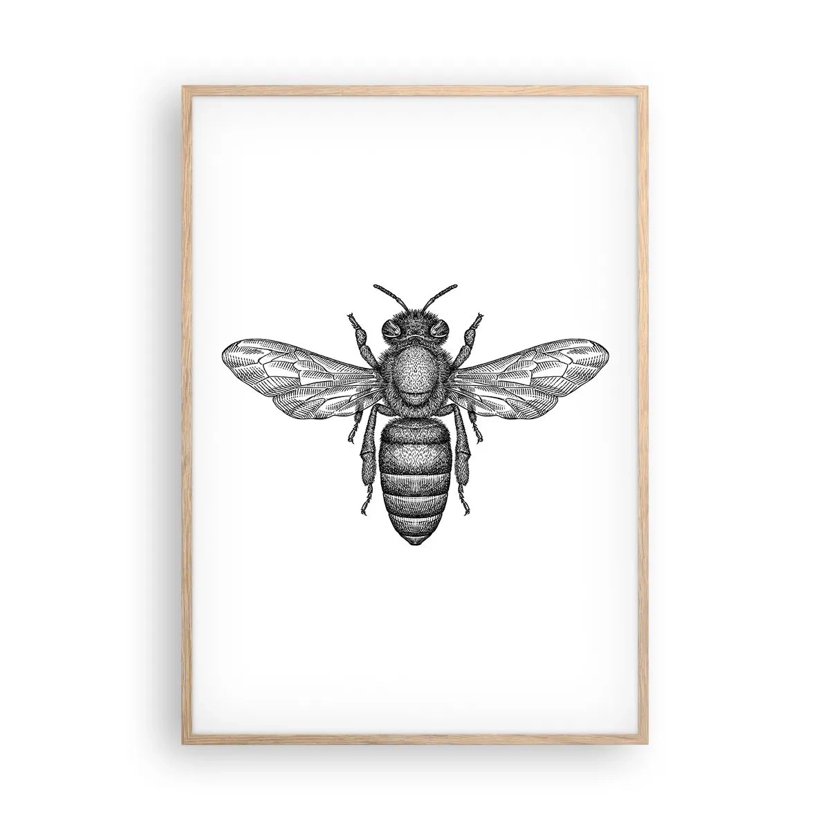 Poster în ramă de stejar deschis - Portret de insectă - 70x100 cm