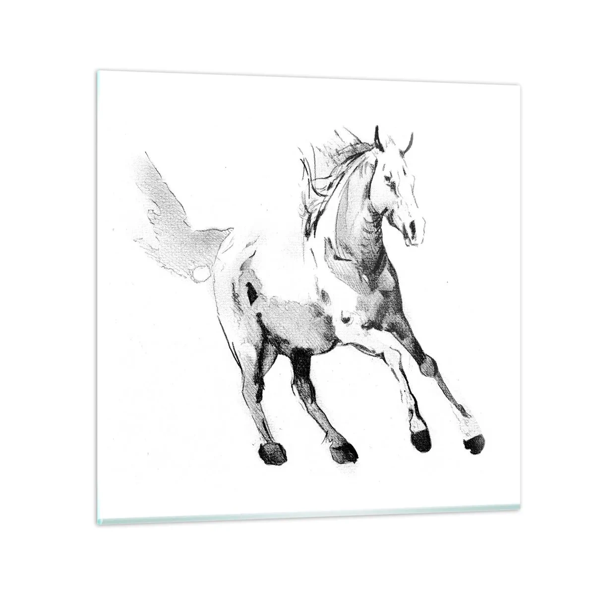 Tablou pe sticlă - Suflet neîmblânzit - 70x70 cm