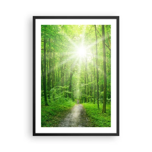 Poster în ramă neagră - O cărare de pădure luminată de razele soarelui - 50x70cm - Catedrala verde - Decorațiune modernă pentru perete pentru living și dormitor ARTTOR