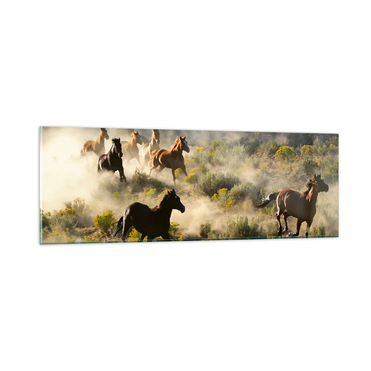 Tablou pe sticlă - Rivalitatea - libertate sau putere masculină? - 90x30 cm