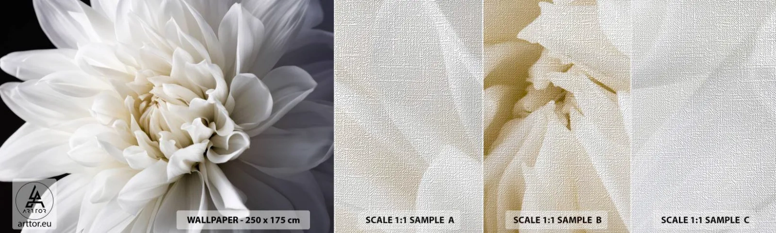 Mostră tapet Premium Canvas - Dimineața miresei - Floare, Dalie, Natură - 100x30 cm