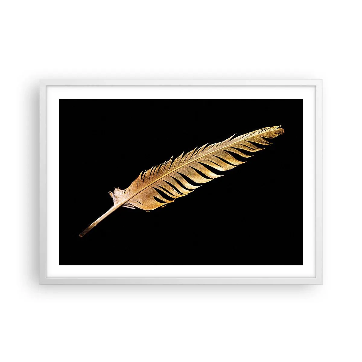 Poster în ramă albă - Pană aurie perfectă - 70x50 cm