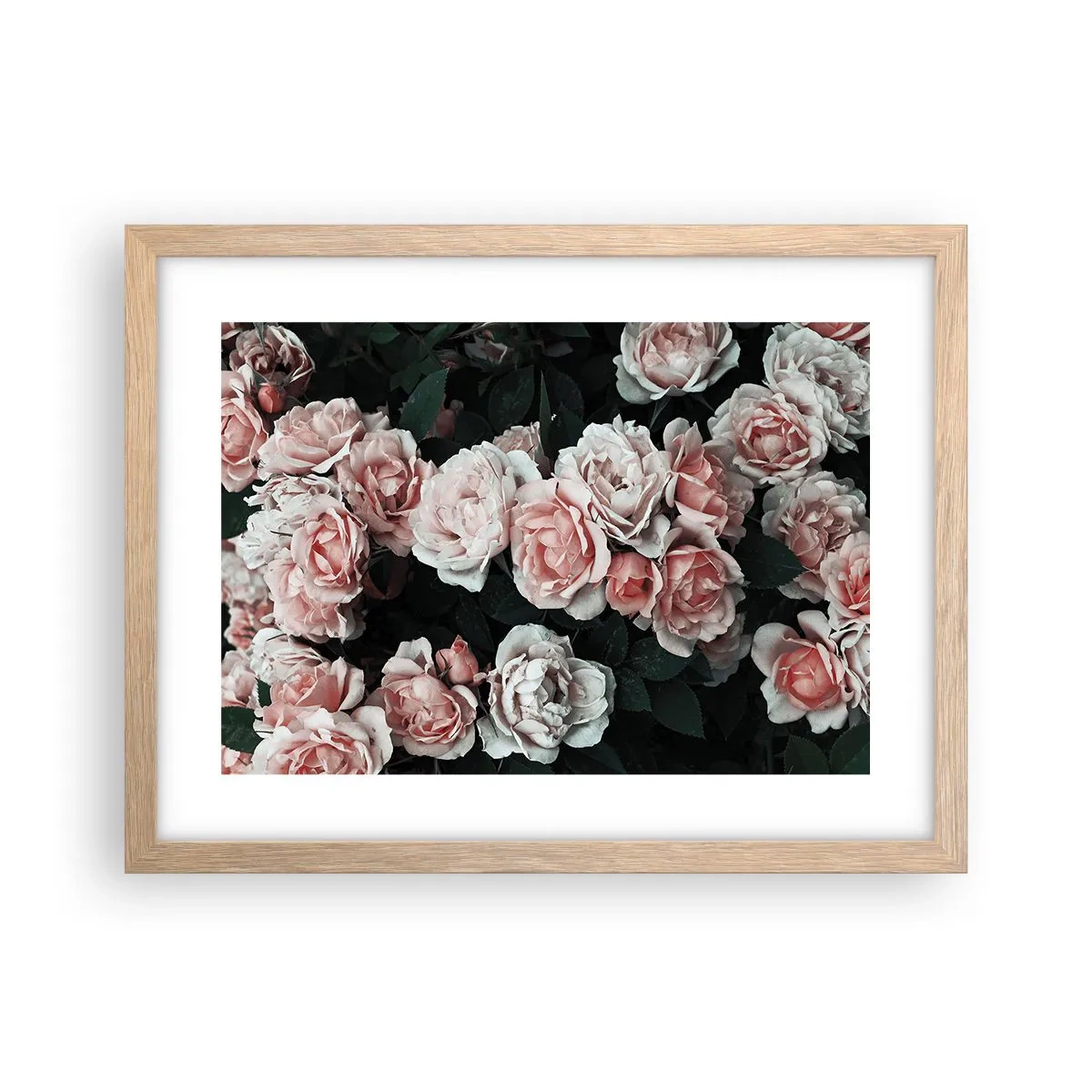 Poster în ramă de stejar deschis - Ansamble de trandafiri - 40x30 cm