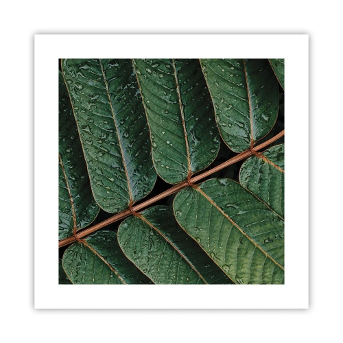 Poster - Într-un ritm verde - 40x40 cm