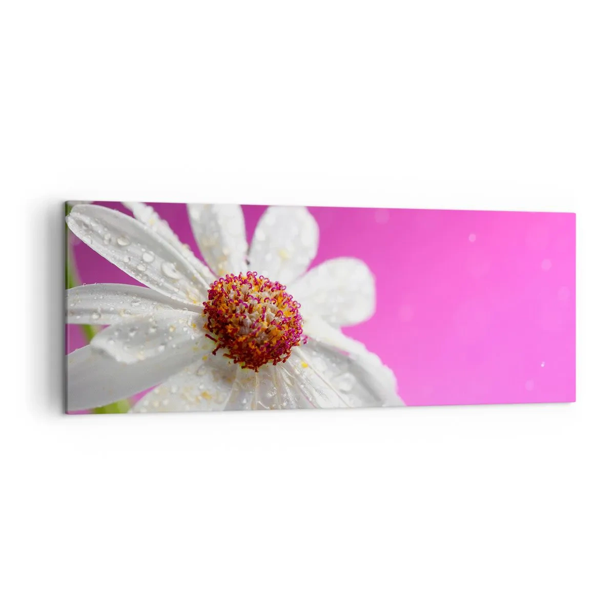 Tablou pe pânză - Modestă în frumusețea ei - 140x50 cm