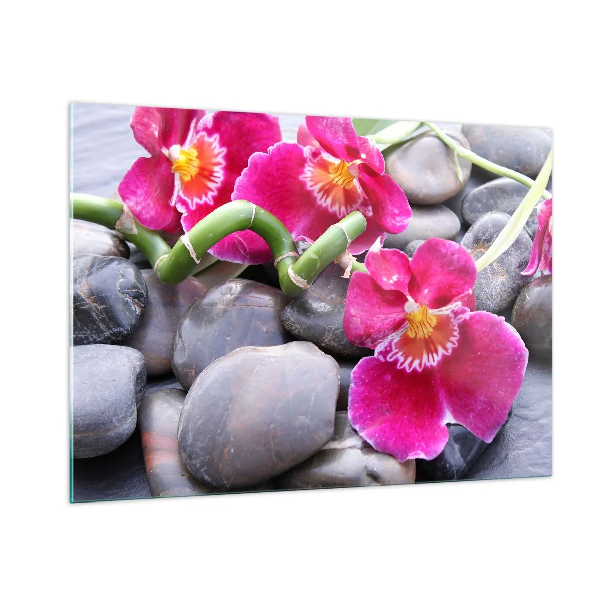 Tablou pe sticlă - Frig și căldură - 100x70 cm