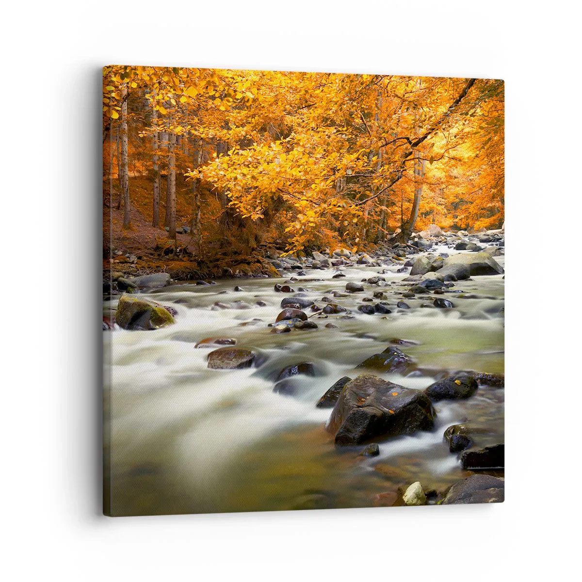 Tablou pe pânză - Un pârâu într-o pădure de aur - 30x30 cm