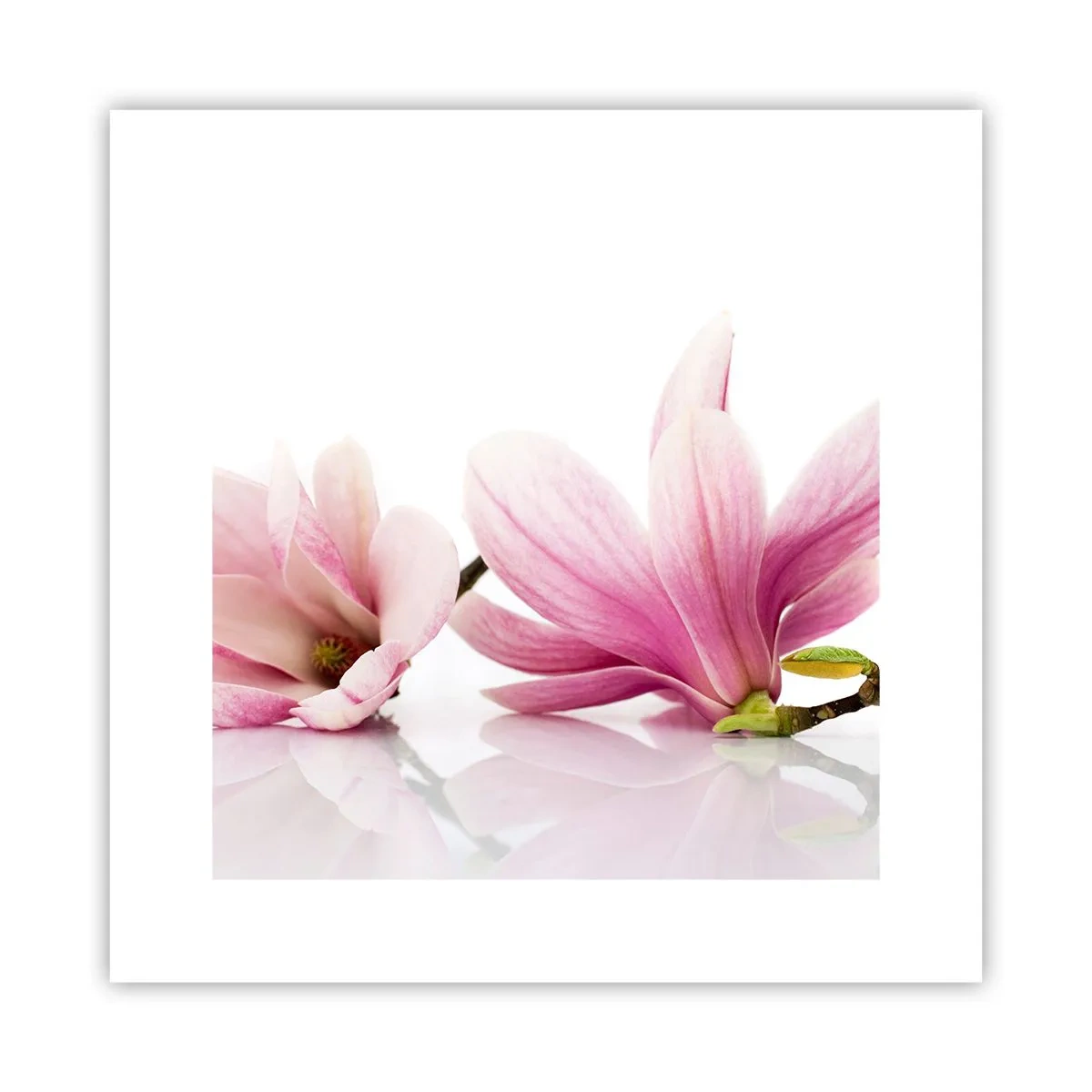 Poster - Delicate ca o adiere de primăvară - 30x30 cm