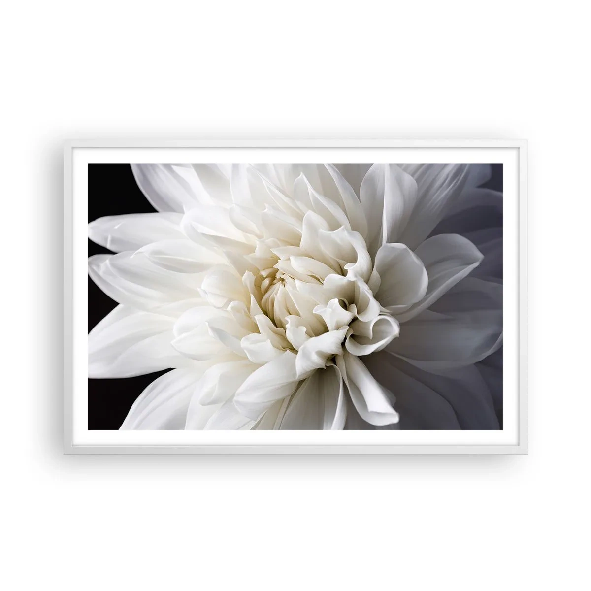 Poster în ramă albă - Dimineața miresei - 91x61 cm