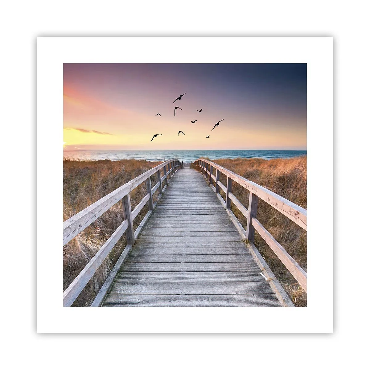 Poster - Spațiul pentru a zbura - 40x40 cm