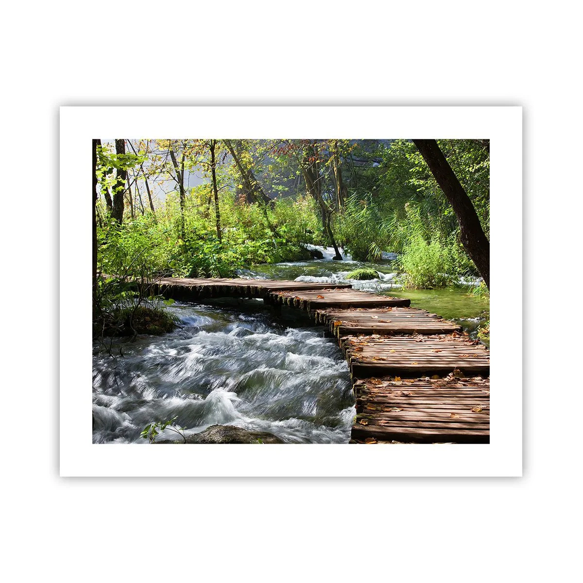 Poster - Cascadă spumoasă - 50x40 cm