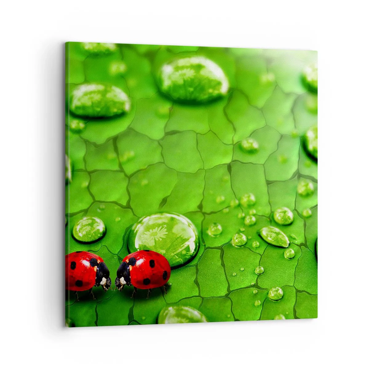 Tablou pe pânză - Întâlnire în verde - 50x50 cm