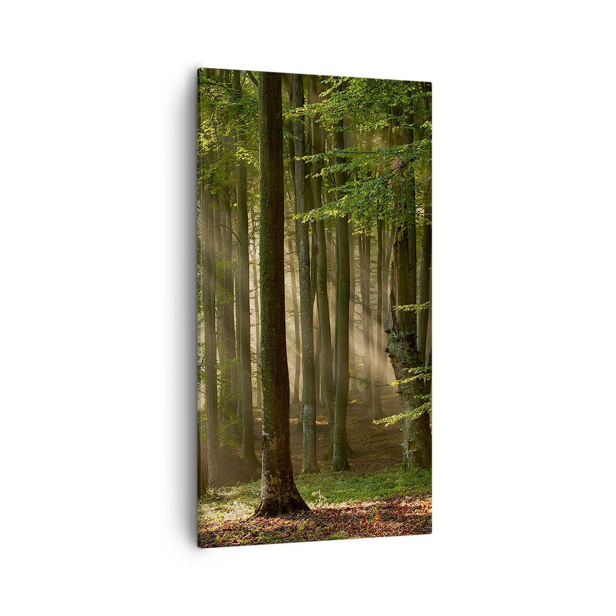 Tablou pe pânză - Strălucitoare într-o dimineață de primăvară - 55x100 cm