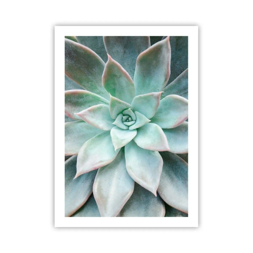 Poster - Inima deșertului - 50x70 cm