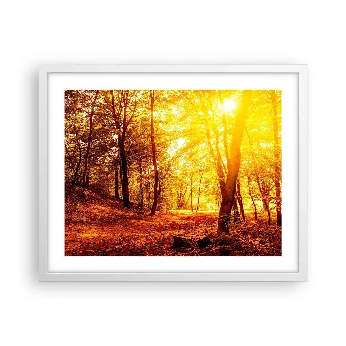 Poster în ramă albă - Spre o poiană de aur - 50x40 cm