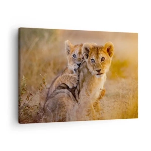 Tablou pe pânză Canvas - Pui de leu adorabili în mediul lor natural - 70x50cm - Nu deranjați! Ne distrăm - Decorațiune modernă pentru perete pentru living și dormitor ARTTOR