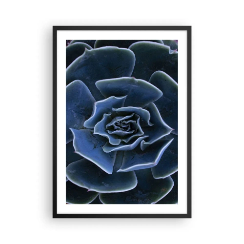 Poster în ramă neagră - Prim-plan artistic al unui model geometric suculent - 50x70cm - Floare de deșert - Decorațiune modernă pentru perete pentru living și dormitor ARTTOR