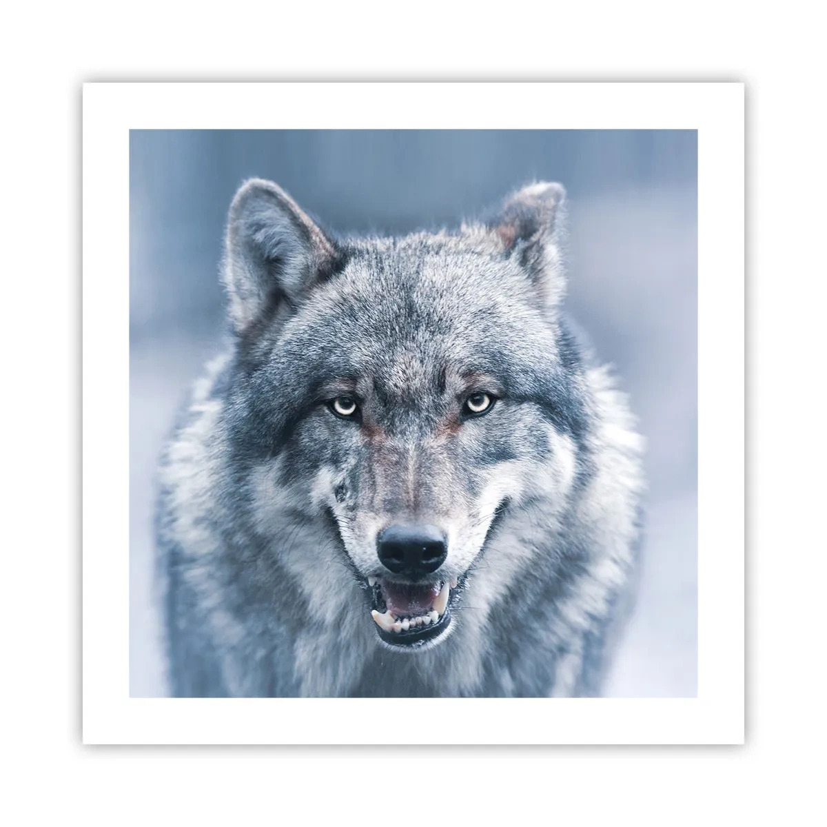 Poster - Accepți provocarea? - 50x50 cm