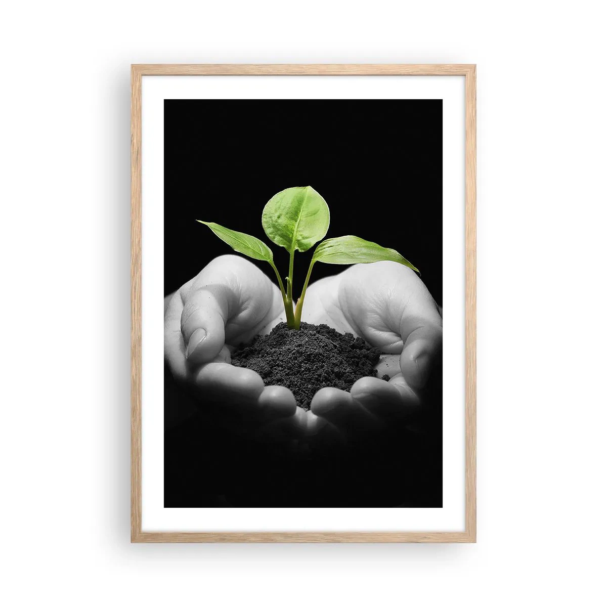 Poster în ramă de stejar deschis - Iubesc natura, o protejez - 50x70 cm