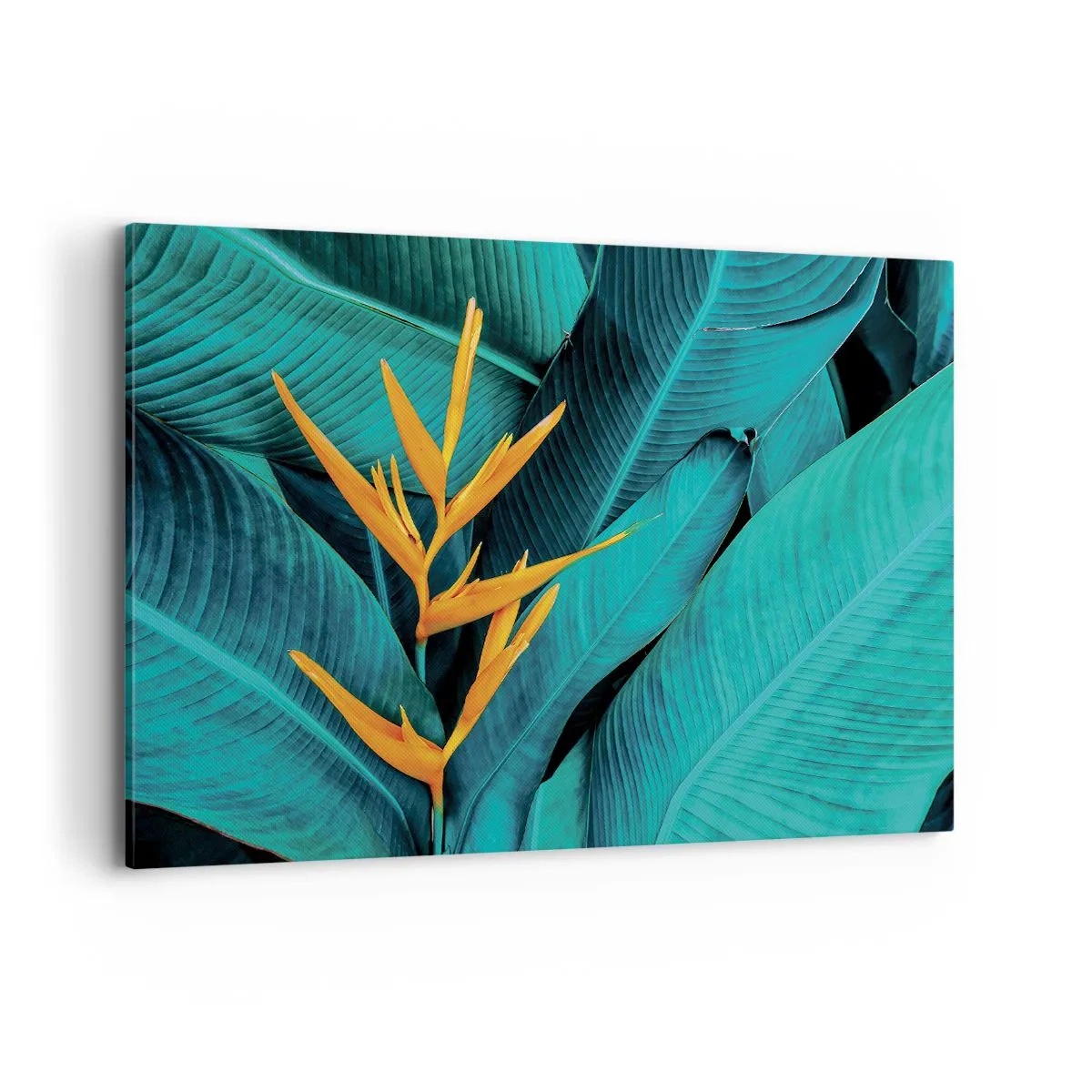 Tablou pe pânză - Floarea Edenului - 120x80 cm