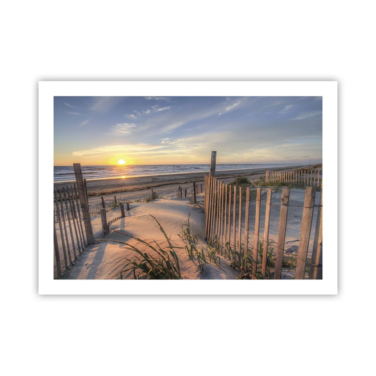 Poster - Strălucirea și umbra vântului - 70x50 cm