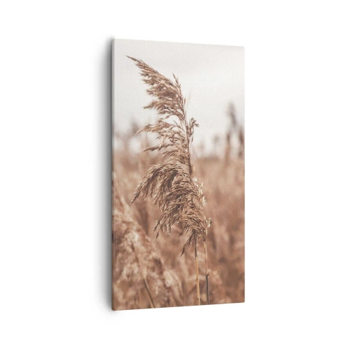 Tablou pe pânză - Toamna pe câmpuri - 55x100 cm