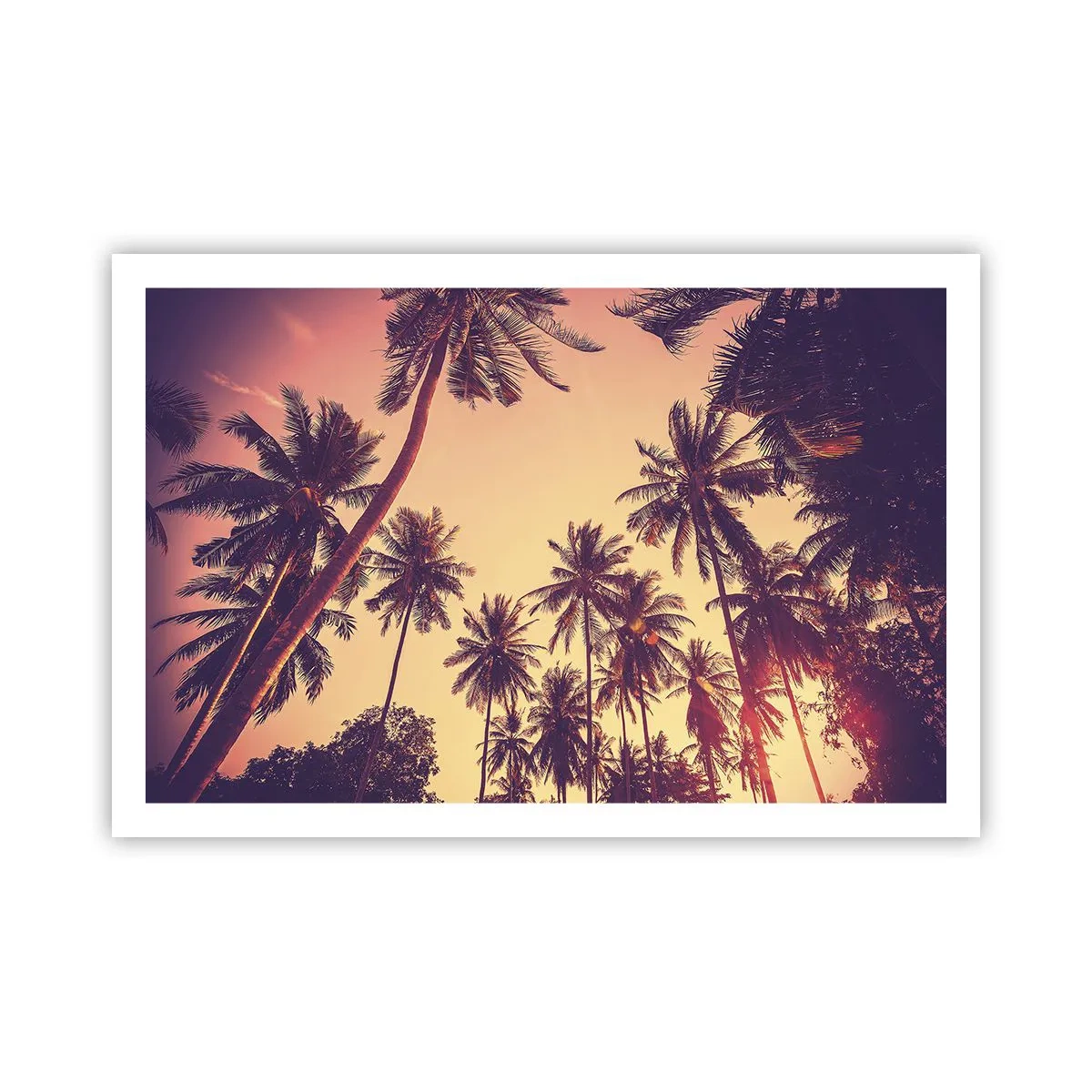 Poster - Variație tropicală - 91x61 cm