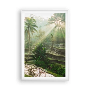Poster în ramă albă - Crescând la soare - 61x91 cm