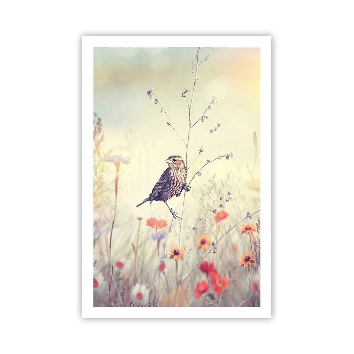 Poster - Portret de pasăre cu o pajiște în fundal - 61x91 cm