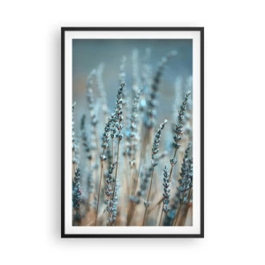 Poster în ramă neagră - Câmpul parfumat - 61x91 cm