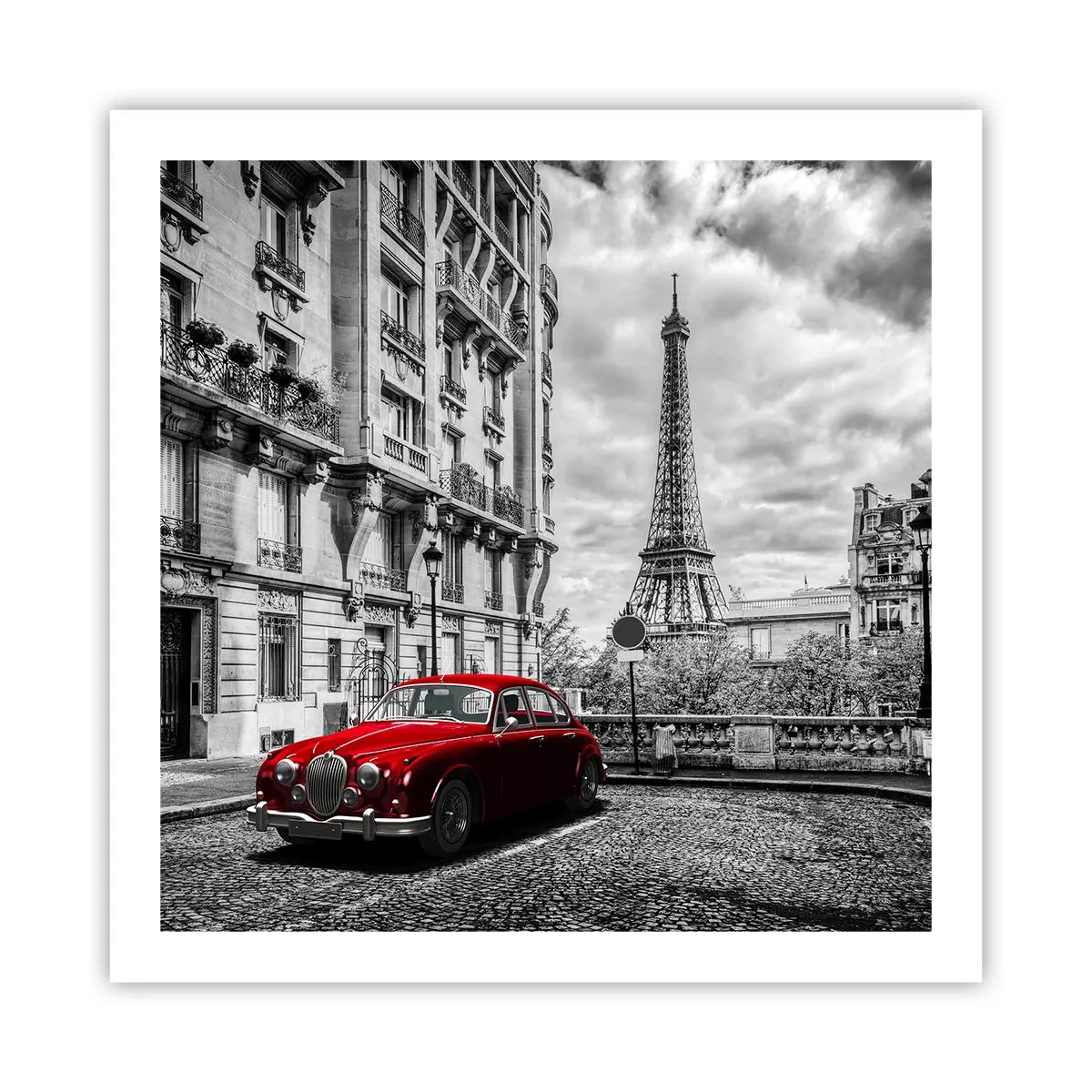 Poster - Prădător în oraș - 60x60 cm