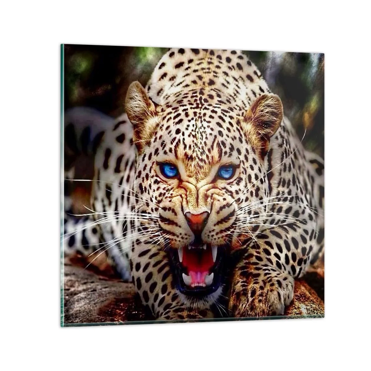 Tablou pe sticlă - Furie pură - 40x40 cm