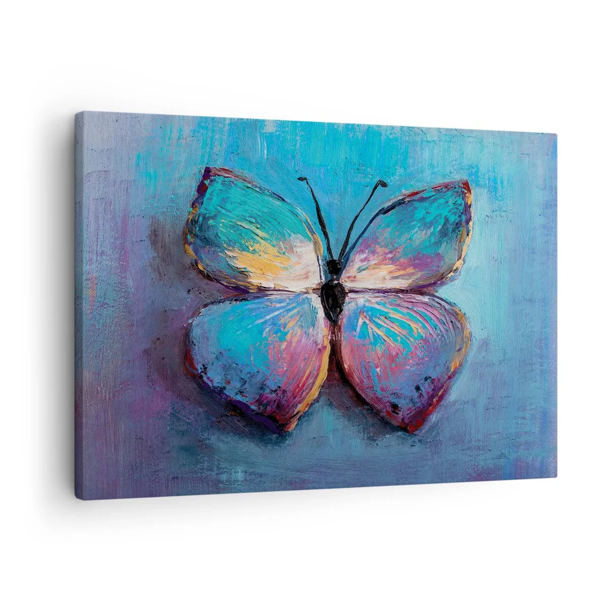 Tablou pe pânză Canvas - Fluture colorat pe fundal albastru - 70x50cm - În plină glorie - Decorațiune modernă pentru perete pentru living și dormitor ARTTOR
