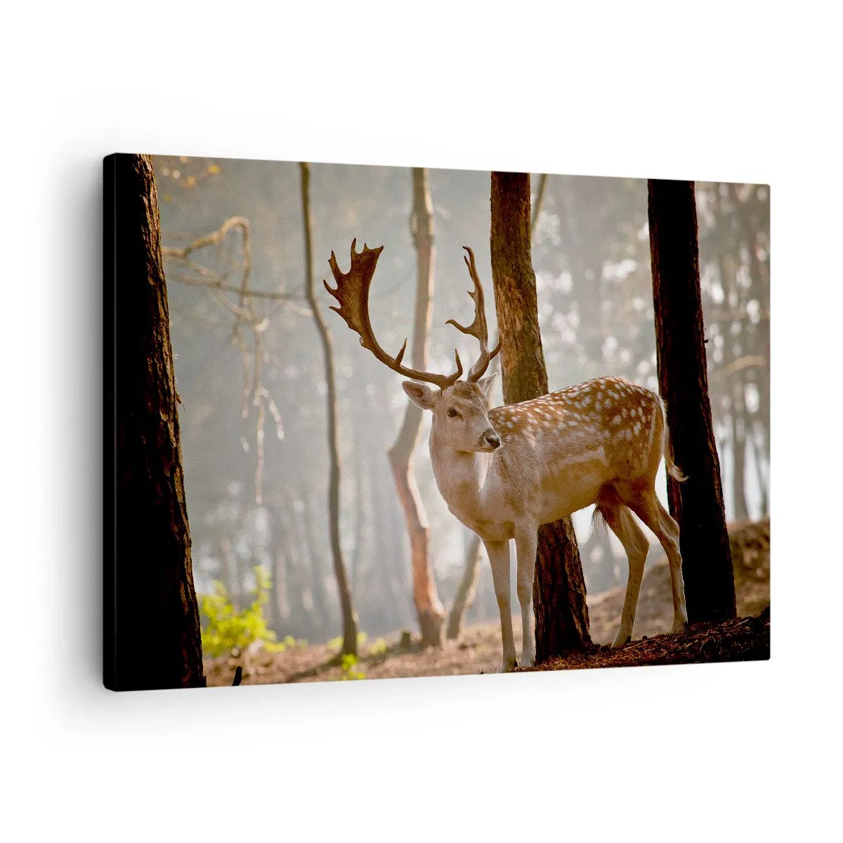 Tablou pe pânză Canvas - Cerbi în pădure în ceața dimineții - 70x50cm - Lumina tinereții - Decorațiune modernă pentru perete pentru living și dormitor ARTTOR