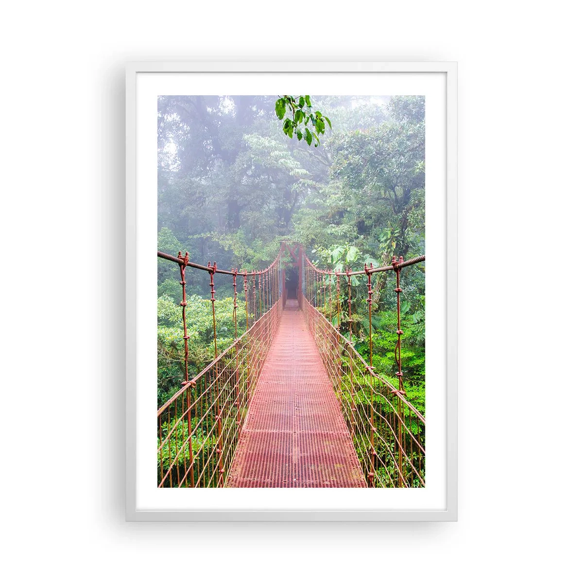 Poster în ramă albă - Suspendat deasupra coroanelor arborilor - 50x70 cm