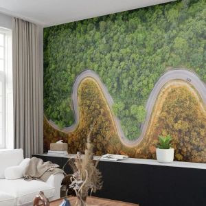 Tapet Premium Sand - Frontiere și defilee - Peisaj, Drumul Auto, pădure - 100x70 cm