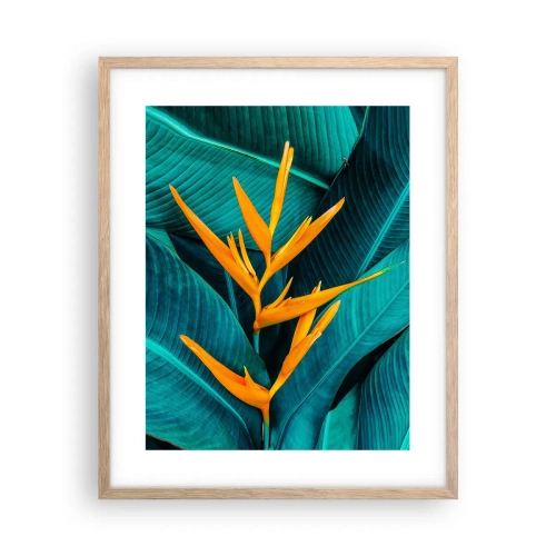 Poster în ramă de stejar deschis - Floarea Edenului - 40x50 cm