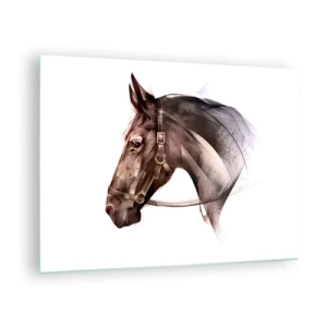 Tablou pe sticlă - Portret de cal în stil artistic pe fundal alb - 70x50cm - Ce farmec - Decorațiune modernă pentru perete pentru living și dormitor ARTTOR