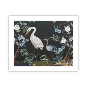 Poster - Parada păsărilor - 50x40 cm