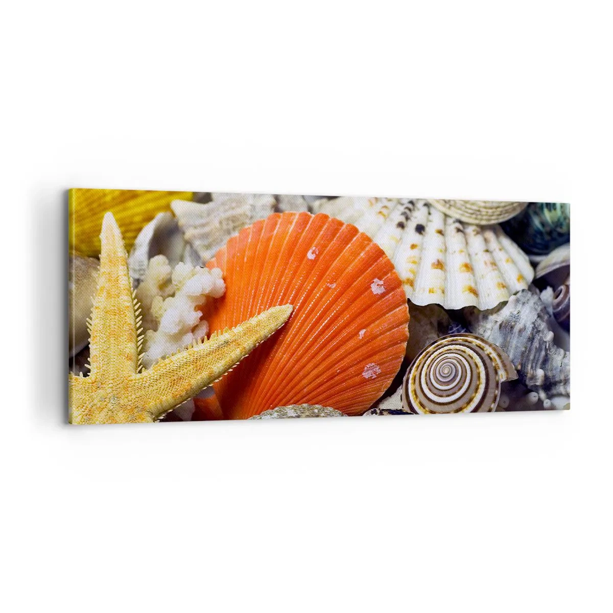 Tablou pe pânză - Comorile oceanului - 100x40 cm