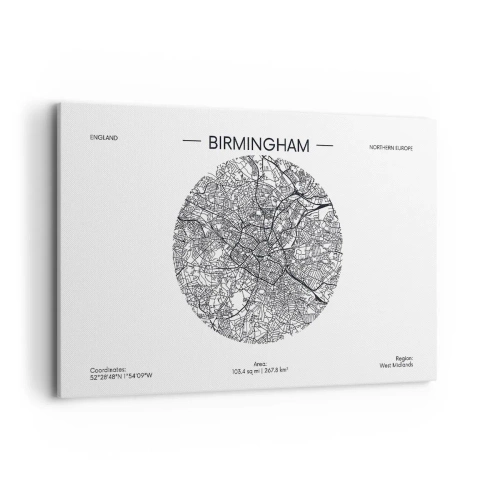 Tablou pe pânză - Anatomia Birmingham - 120x80 cm