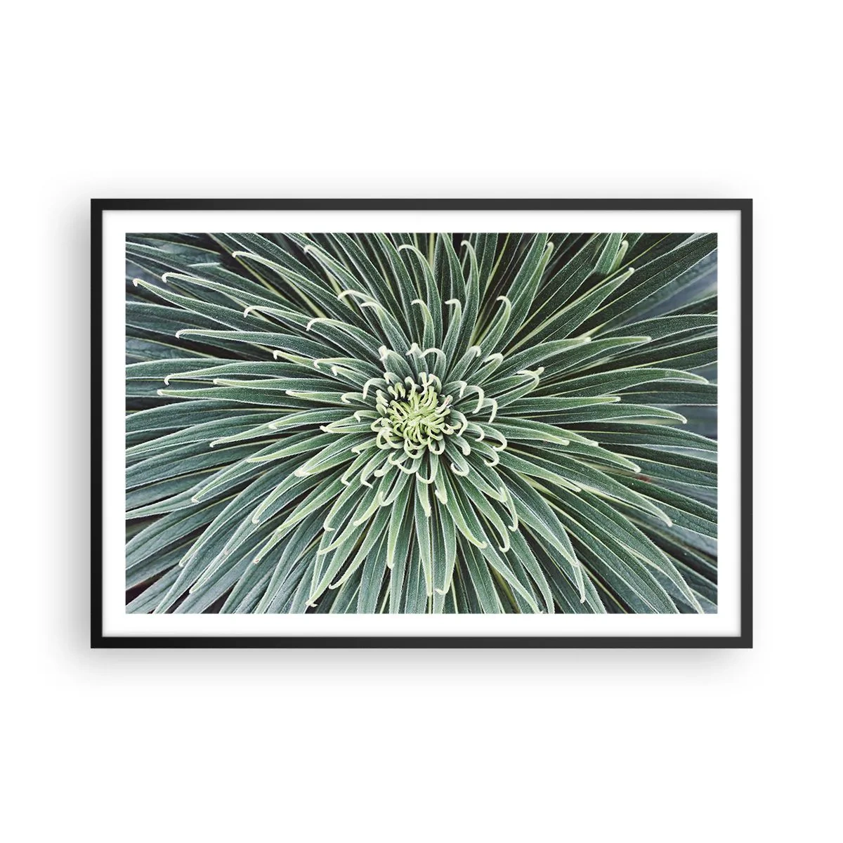 Poster în ramă neagră - Nașterea unei stele - 91x61 cm