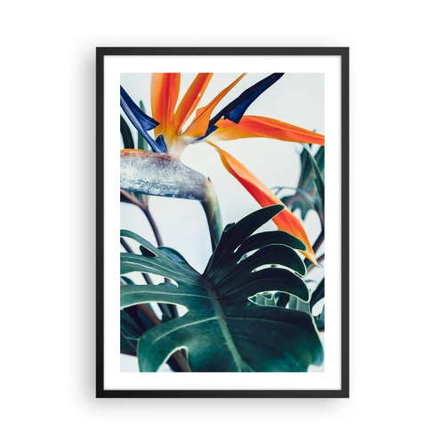 Poster în ramă neagră - Prim-plan al unei flori de strelitzia înconjurate de frunze verzi - 50x70cm - Tufiș sau pasăre? - Decorațiune modernă pentru perete pentru living și dormitor ARTTOR