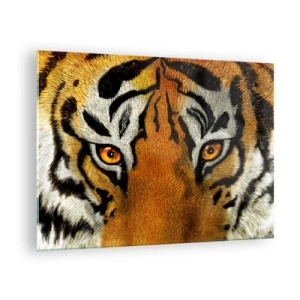 Tablou pe sticlă - Prim-plan al privirii intense a tigrului - 70x50cm - Amenințător și frumos - Decorațiune modernă pentru perete pentru living și dormitor ARTTOR