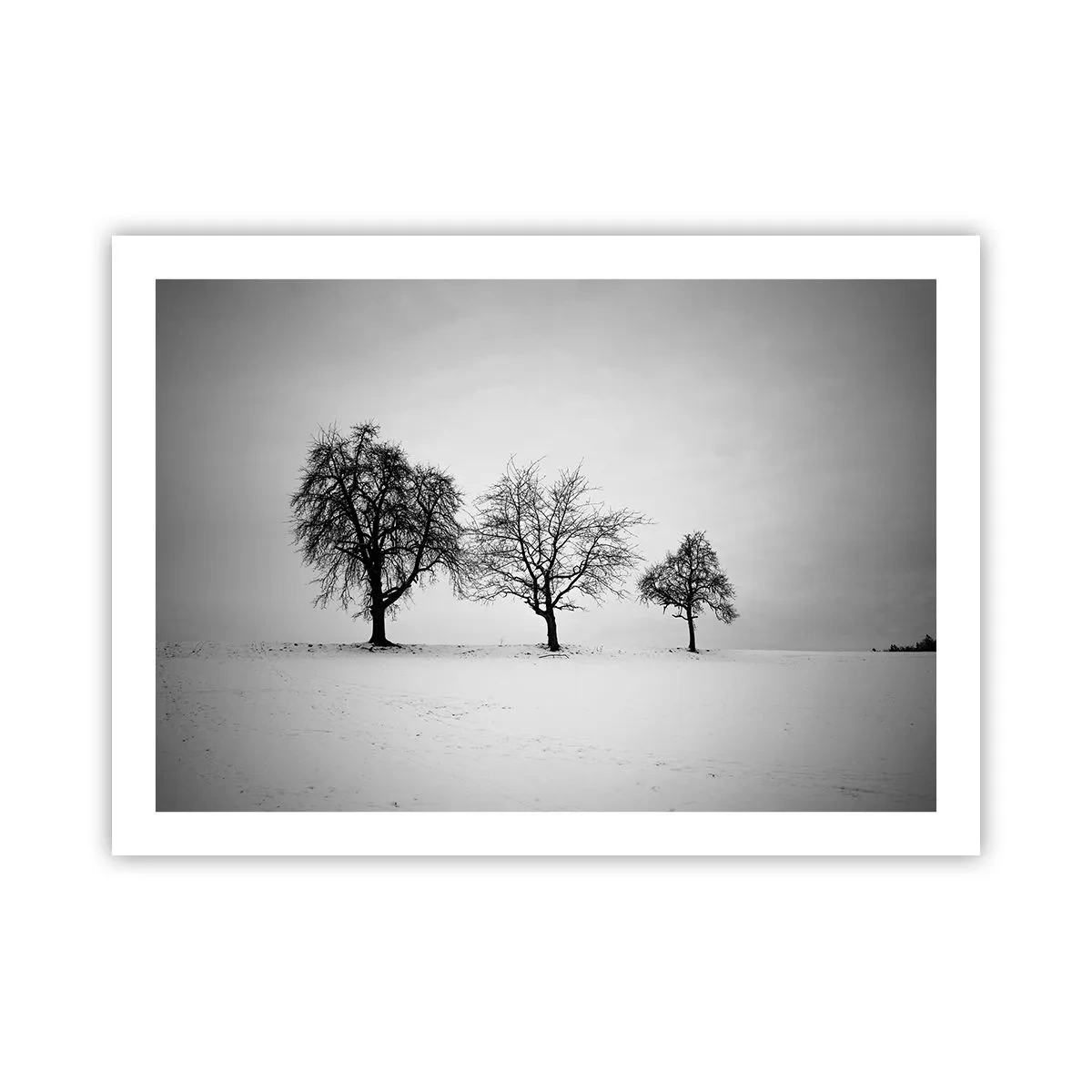 Poster - La ce visează? - 70x50 cm